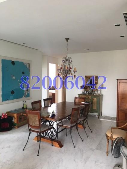 The Boulevard Residence (D10), Apartment #160664592